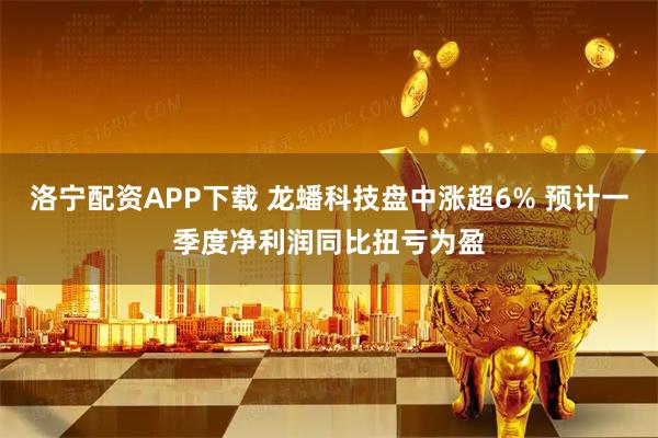 洛宁配资APP下载 龙蟠科技盘中涨超6% 预计一季度净利润同比扭亏为盈