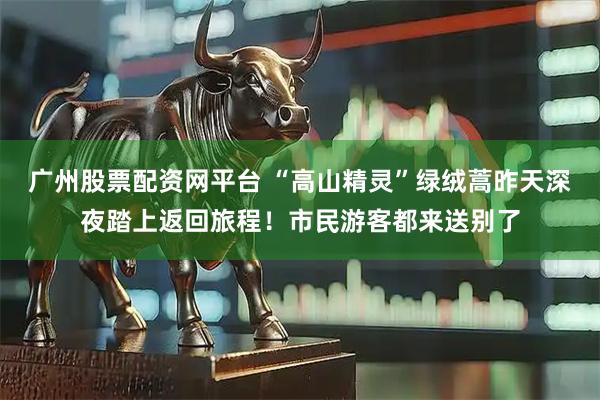广州股票配资网平台 “高山精灵”绿绒蒿昨天深夜踏上返回旅程！市民游客都来送别了